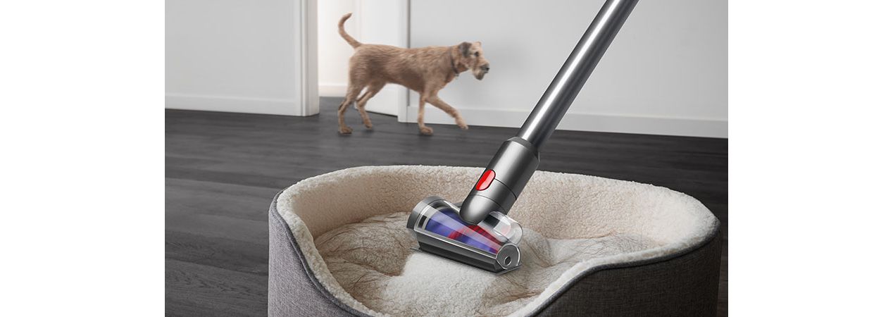 Herramienta de tornillo para el cabello Dyson que aspira el cabello en una cama para mascotas